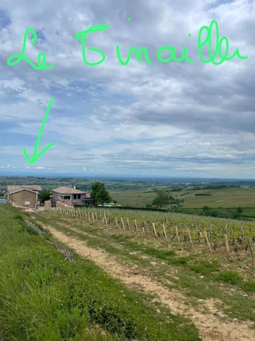 Le Tinailler Grand Standing Au Coeur Des Vignes Villa Prisse Exterior photo
